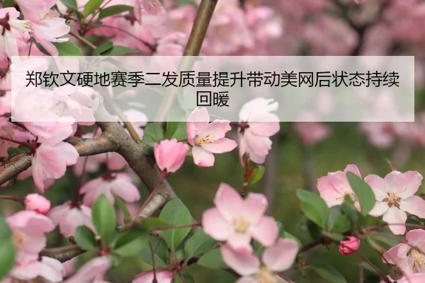 郑钦文硬地赛季二发质量提升带动美网后状态持续回暖